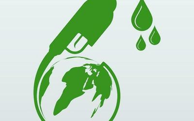 Egyptian scholar at Assam university develops biodiesel from food waste