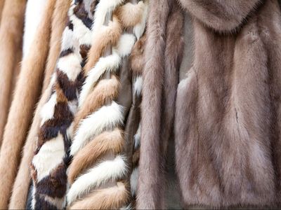 Copenhagen Fashion Week becomes latest European show to ban fur