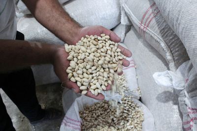 In Syria, a 'golden' crop struggles to regain its shine