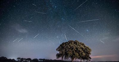 Perseids meteor shower 2022: Date, time it peaks and how to spot shooting stars