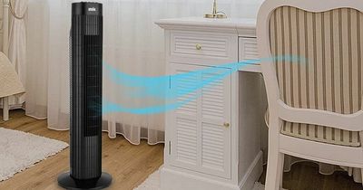 Amazon has discounted this 'powerful' electric tower fan in time for heatwave