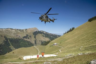 Swiss army airlifts water to thirsty animals in Alpine meadows