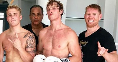 UFC veteran claims he almost broke Logan Paul's jaw in sparring session