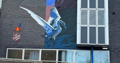 Stunning Frank Styles mural offering message of hope unveiled at Sunderland's Swan Lodge