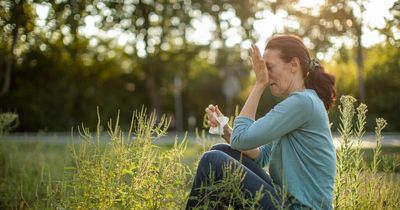 Hay fever sufferers should brace themselves for high pollen count in coming days