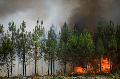 Wildfires burn, farmers struggle as another heatwave bakes western Europe