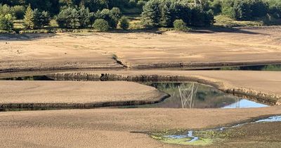 Drought to be declared in parts of UK on Friday