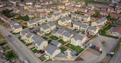 Develop North chair slates working-from-home as 'useless initiative'