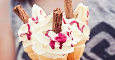 Best places in Fermanagh for ice-cream according to our readers