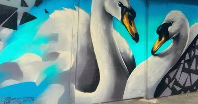 The Swansea mural artist whose incredible work can be seen across the city and beyond