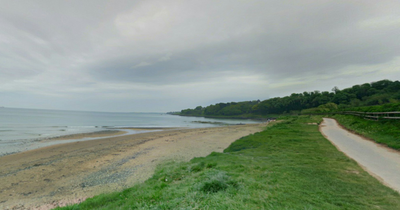 Five officers injured as crowd of 600 youths gathers at country park in Co Down