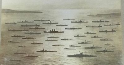 Old photograph found showing massive output of Palmers shipyard on Tyneside
