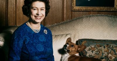 Queen had savage response after she heard a relative wanted to 'shoot the corgis'