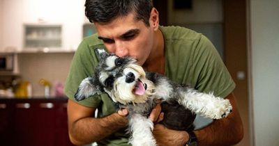 Men with small dogs seen as more attractive to women, study claims