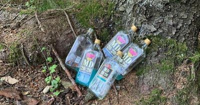 Lanarkshire community woodland trashed after gathering blighted by loutish antics