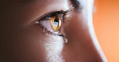 Scientists claim to have developed 'cure for blindness'