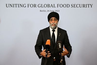 Canada seeks to boost foreign aid for food security - minister