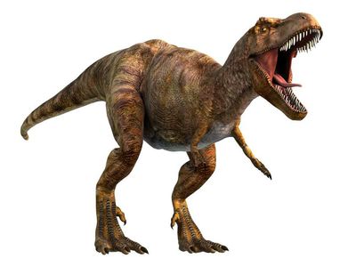 T rex’s keyhole eye sockets helped its bite, research suggests