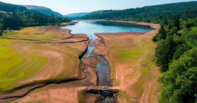 Welsh Water's worst case scenario plan if drought is declared and water becomes scarce