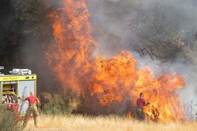 Firefighters called to blaze in Leytonstone as figures show ‘unprecedented’ rise in grass fires