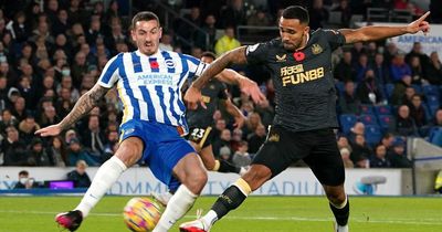 Newcastle will worry Brighton more than Manchester United as Callum Wilson looks to justify claim