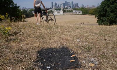 Sainsbury’s and Tesco halt disposable barbecues sales amid wildfire risk