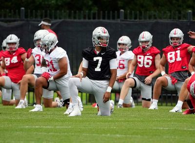 Draft Wire names top Ohio State NFL prospects this season