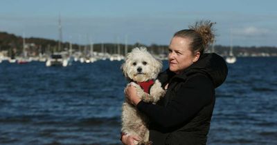 Dog owners unleash their thoughts on council's new off-leash proposal