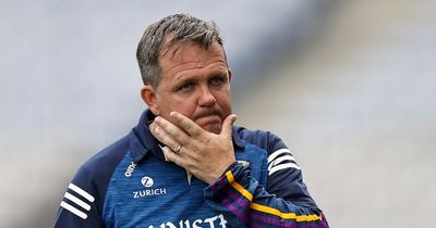 Davy Fitzgerald completes Waterford return
