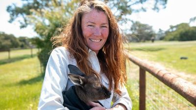 Kangaroo Island wildlife sanctuary rebounds from bushfires to create citizen science ocean tours