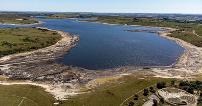 Drought could be declared in UK area leading to rules on water use and hosepipe ban