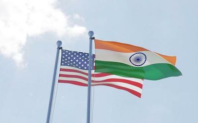India, U.S. should stay away from each other's domestic politics, says founder of Indiaspora