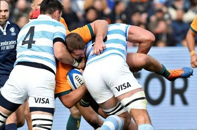 Cheika expects Pumas to front up against Australia