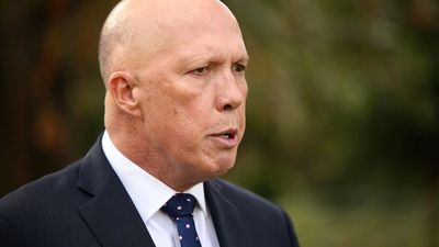 Peter Dutton may not have to pay costs over defamation case against refugee advocate