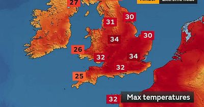 UK weather forecast: Fire warnings as mercury rockets with fears of 950 heatwave deaths