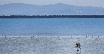 Ireland weather: Met Eireann forecast 48-hours of near-record heat but nasty surprise hours away