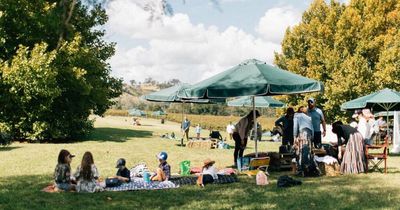 Top award puts Boydell's chardonnay on the map