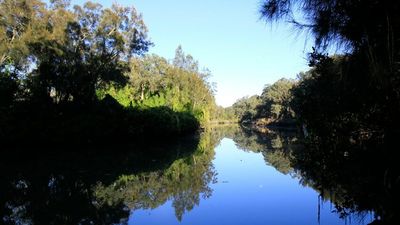 Sydney Water guilty of polluting Prospect Creek with 280,000 litres of sewage