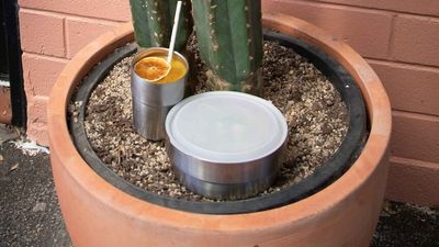 Reusably app allows cafes to reuse cups and takeaway containers