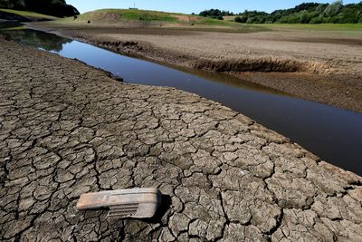 UK declares drought in parts of England amid heatwave