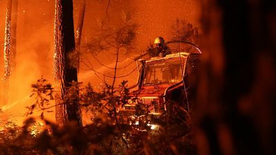 Friday set to be the hottest day of heatwave, as wildfires ravage France