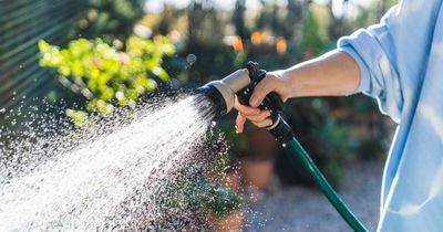 Yorkshire Water hosepipe ban from August 26 - all the rules you need to know and what you could be fined £1,000 for
