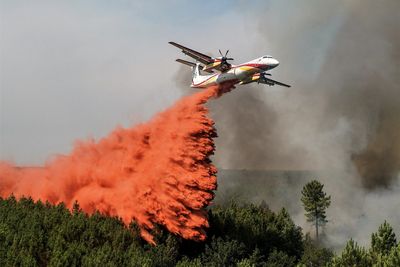 Drought in England, fires rage in France as heatwave persists
