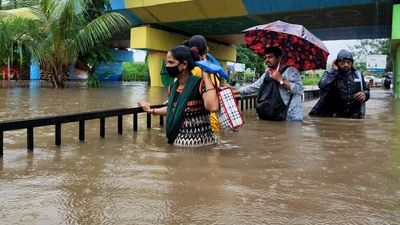 Maharashtra: 120 lives lost in rain, flood-related incidents since June