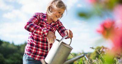 Gardening expert shares 6 heatwave mistakes – to help plants survive hot weather