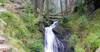 Five of the best shady woodland walks around Scotland to keep cool