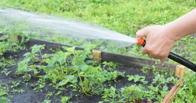 Bristol Water says no hosepipe ban despite South West drought declaration