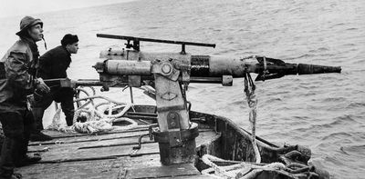 The Soviet Union once hunted endangered whales to the brink of extinction – but its scientists opposed whaling and secretly tracked its toll