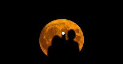 Sturgeon Supermoon lights up night sky on final stunning appearance of 2022