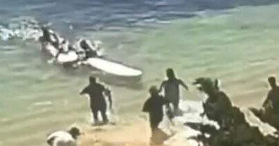 Paddleboarder and dog thrown into sea as shark bites board in second attack this summer